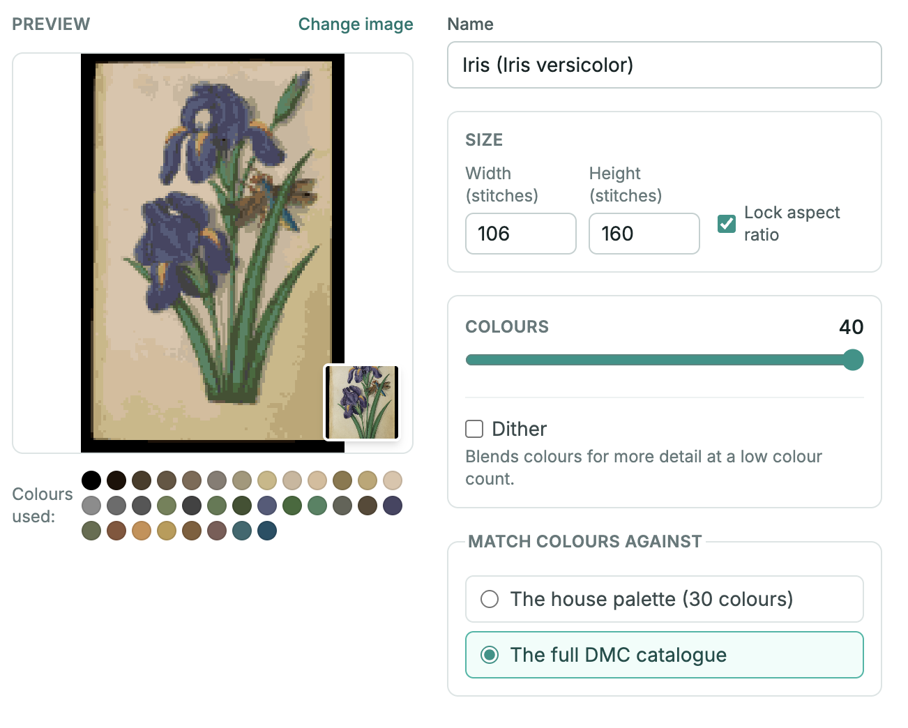 The converter preview at 106 × 160 stitches and 40 colours: detailed irises, with the dragonfly’s wings and blue tail visible
